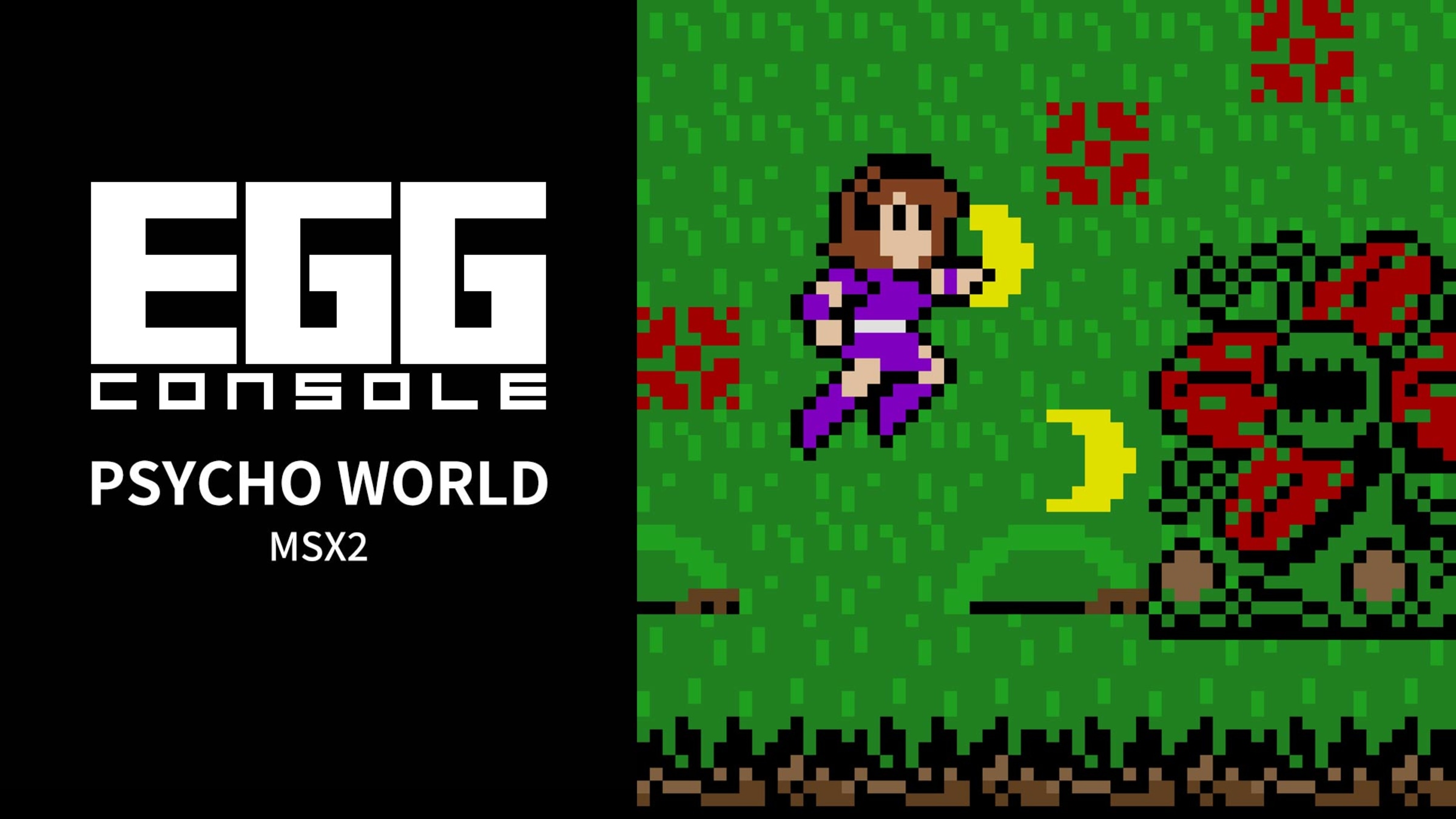 EGGCONSOLE PSYCHO WORLD MSX2 for Nintendo Switch - Nintendo