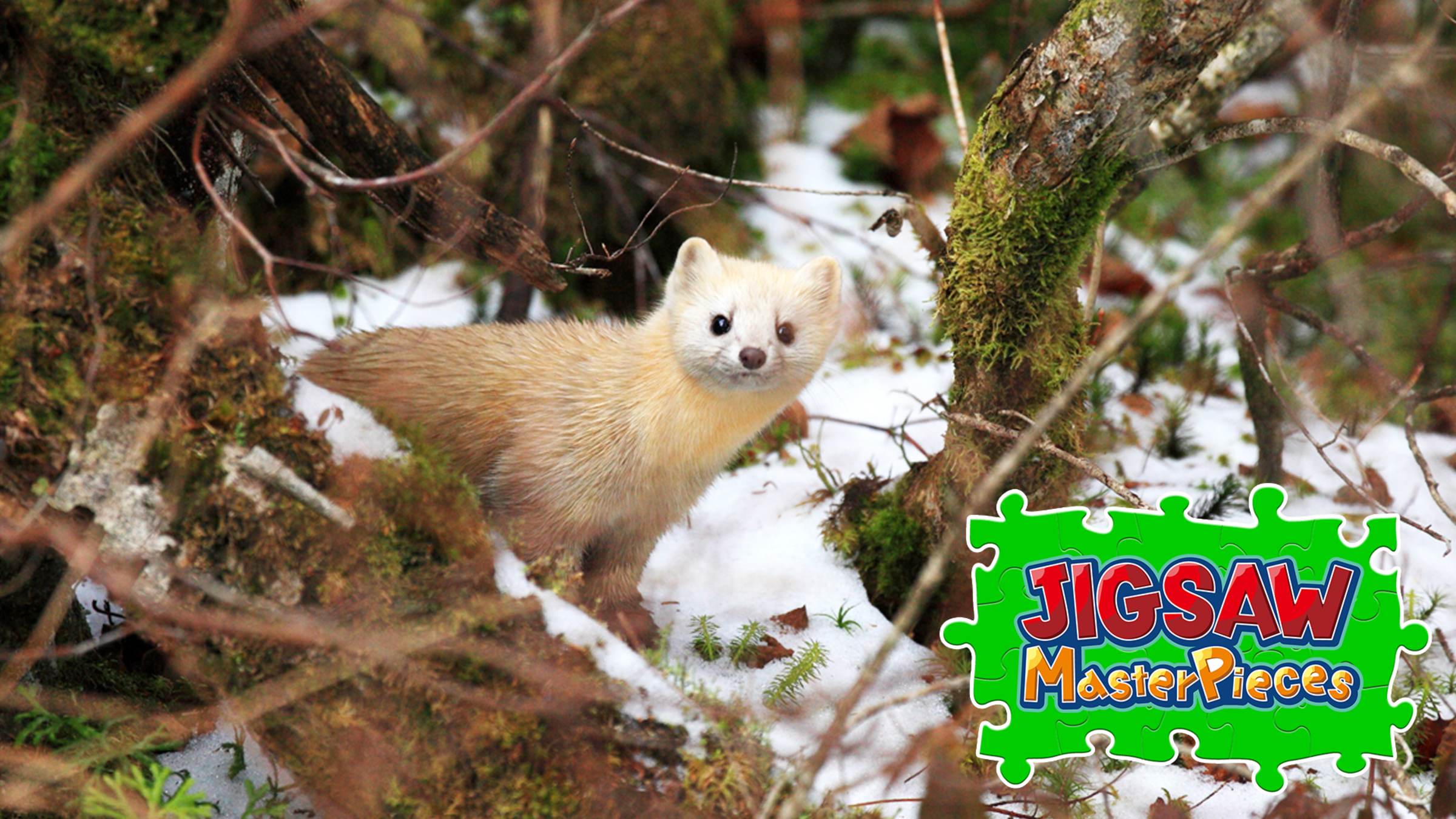 Animals in Snow for Nintendo Switch - Nintendo Official Site