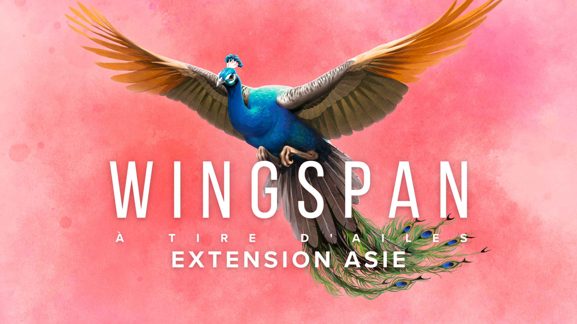 Wingspan (À tire d'ailes) : Extension Asie pour Nintendo Switch - Site ...