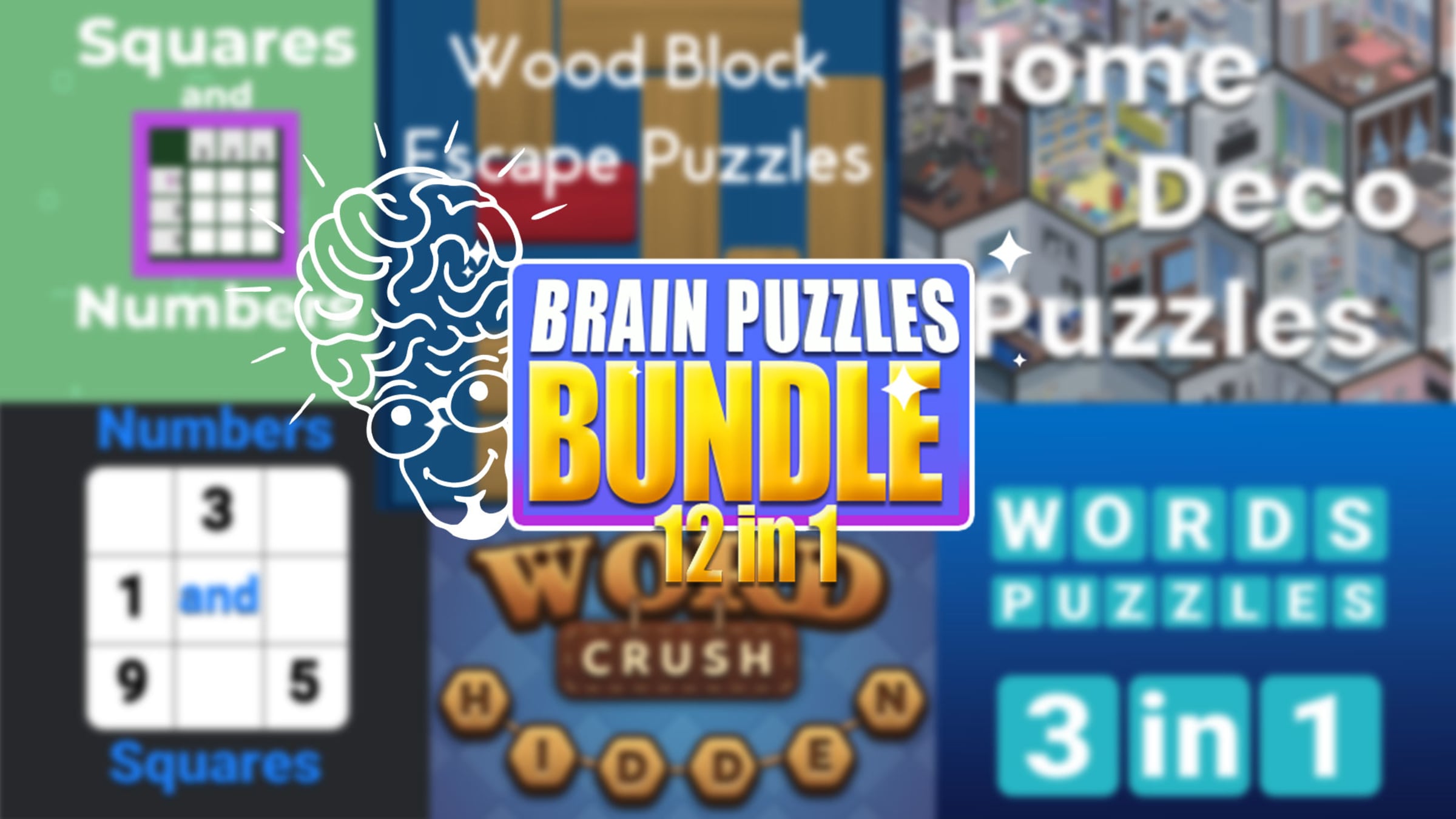 Brain Puzzles Bundle 12 in 1 for Nintendo Switch - Nintendo