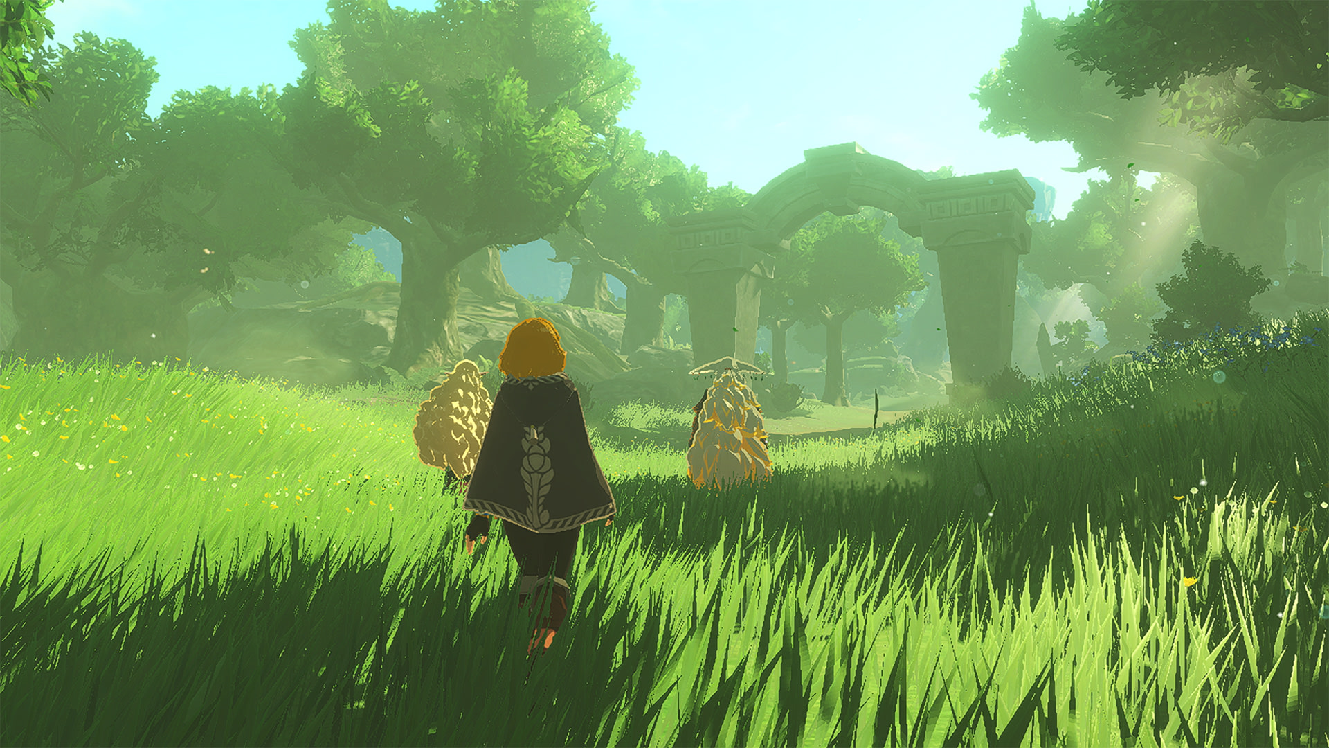 Screenshot 2 from Hyrule Warriors: Age of Imprisonment