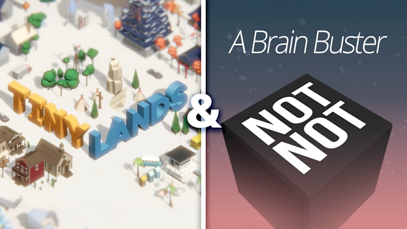 Tiny Lands & Not Not - A Brain Buster