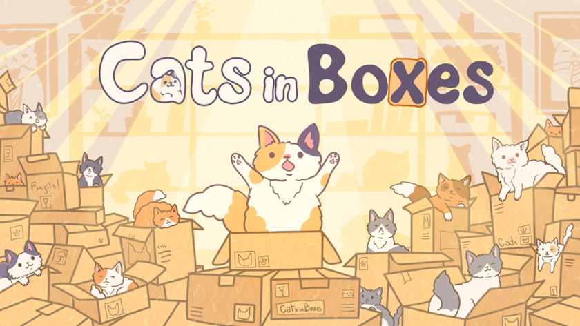 Cats in Boxes