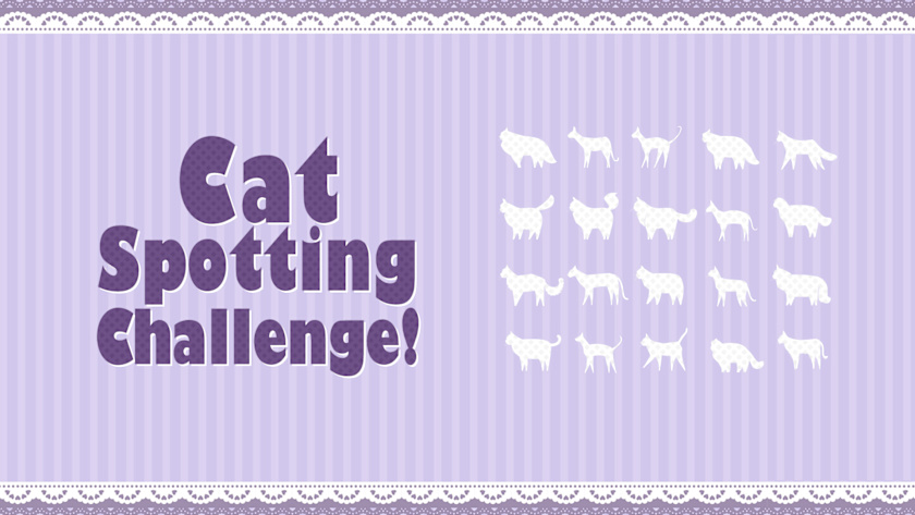 Cat Spotting Challenge!