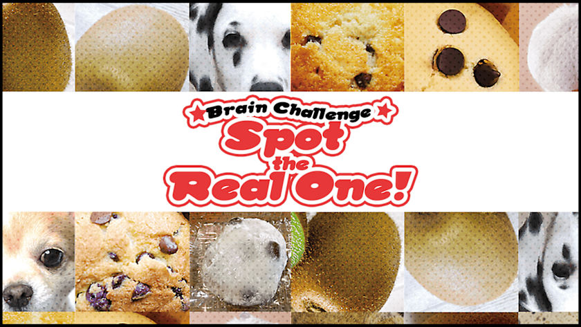 Brain Challenge Spot the Real One!