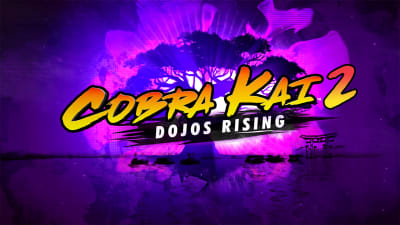 Jogo Nintendo Switch Cobra Kai 2 Dojos Rising Midia Fisica