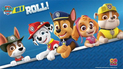 Nintendo switch 2025 paw patrol