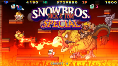 Snow bros nintendo switch deals