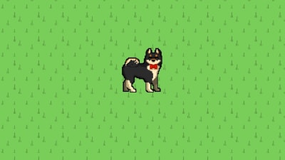 Switch puppy discount