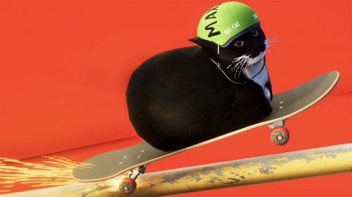 Skateboard Drifting with Maxwell Cat: The Game Simulator for