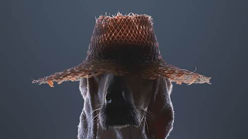 Nintendo Switch ky iam8bit | Kentucky Route Zero: TV Edition - Nintendo Switch