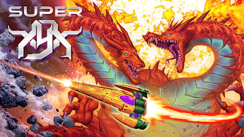 た*し様 Nintendo switch Nintendo switch た*し様