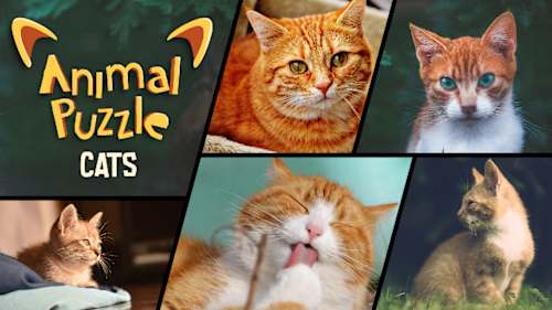 Family Game Mega Pack 14 in 1 for Nintendo Switch - Nintendo