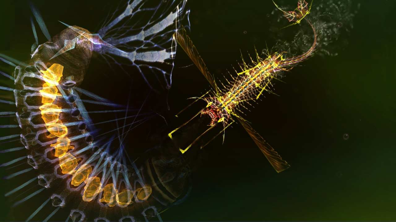 #3. Sparkle 2 EVO (Nintendo) 由: Forever Entertainment