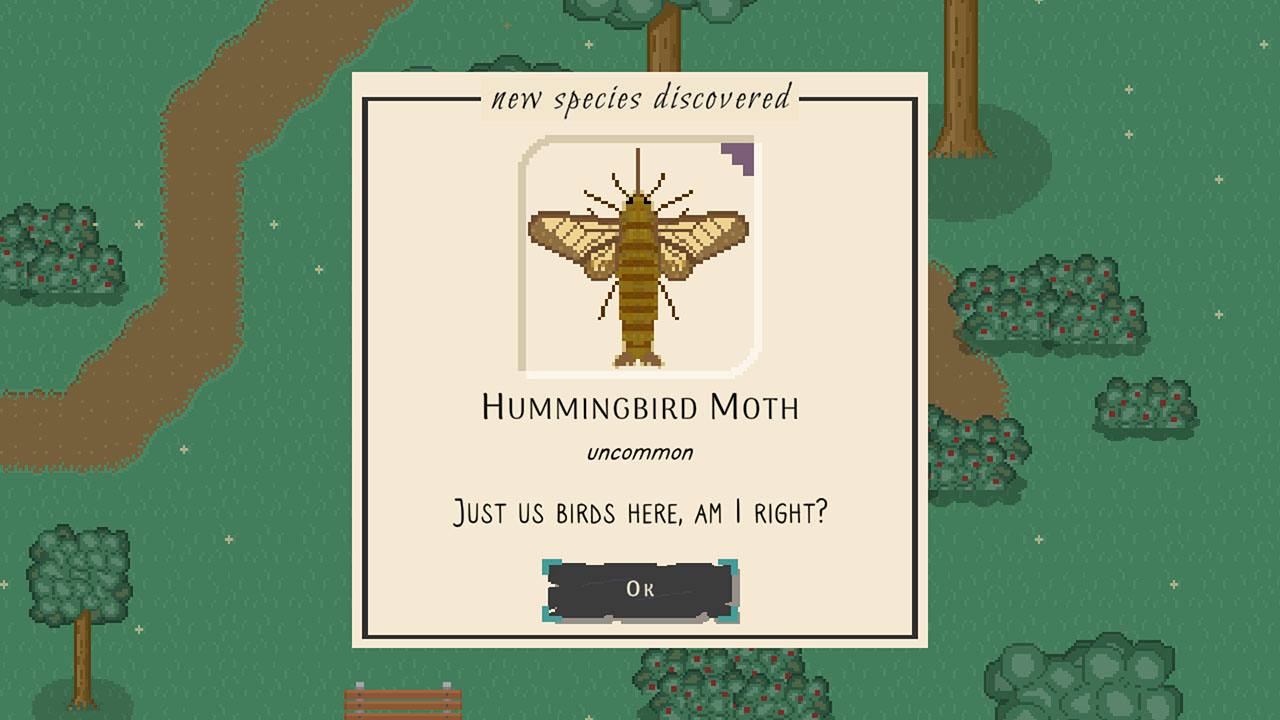 #1. Bug & Seek (Nintendo) Göre: 1st Playable