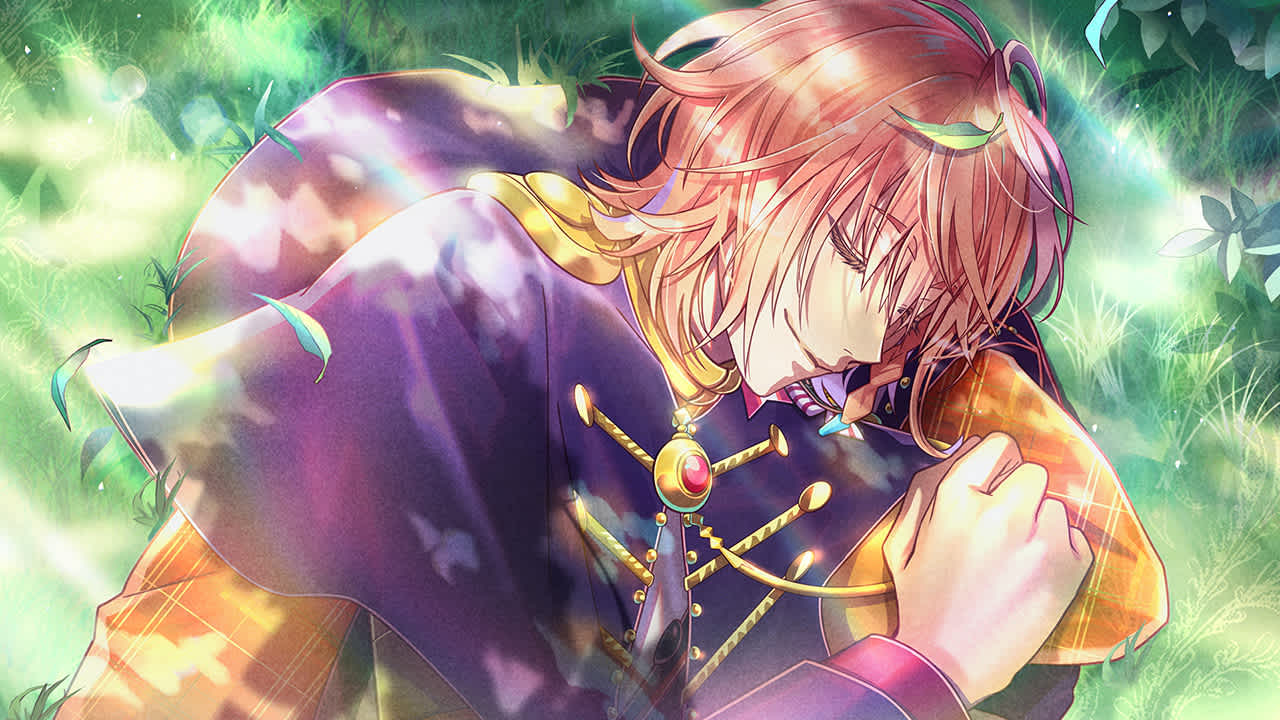 #3. Mistonia's Hope -The Lost Delight- (Nintendo) 由: Aksys Games