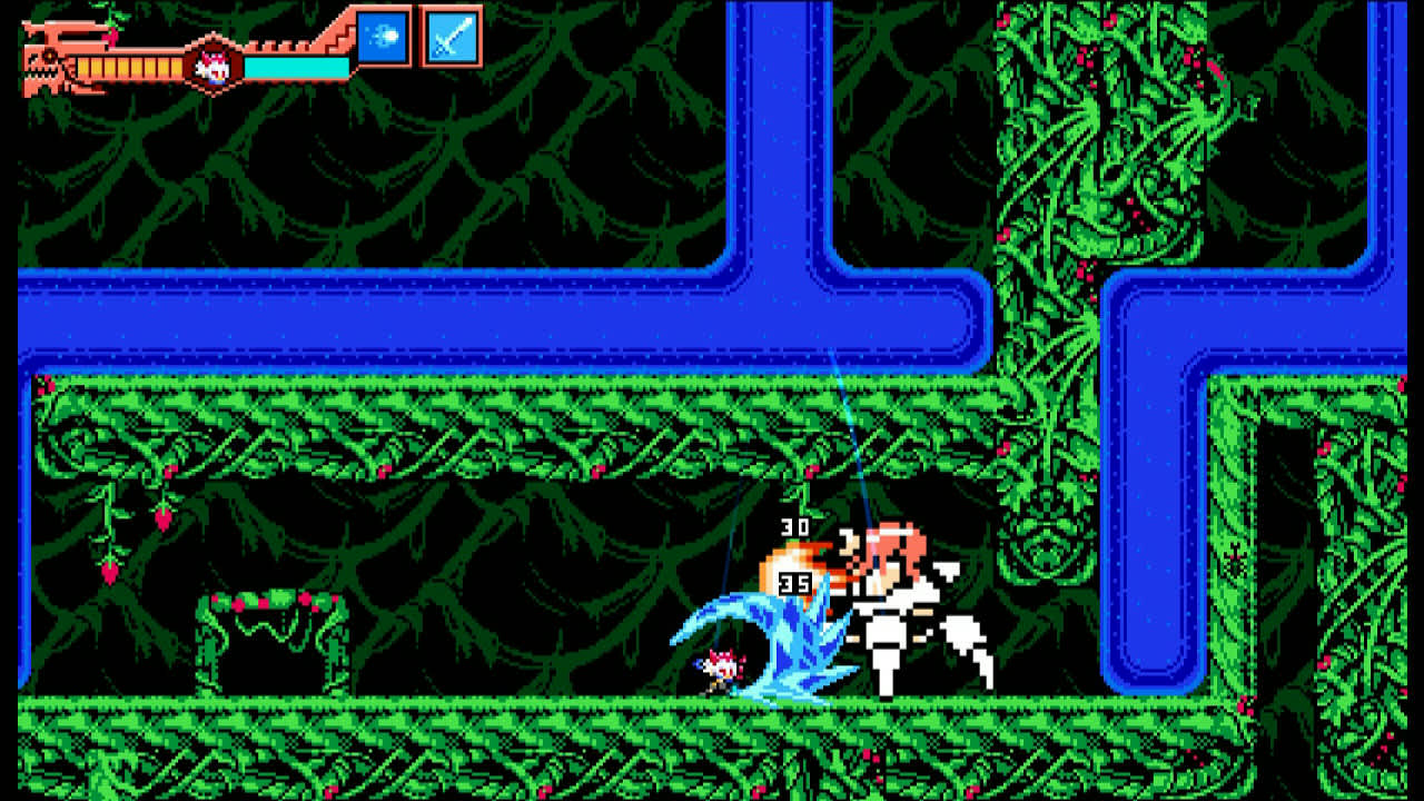 #2. DLC Playable Character: Empress from "Dragon Marked For Death" (Nintendo) By: Inti Creates