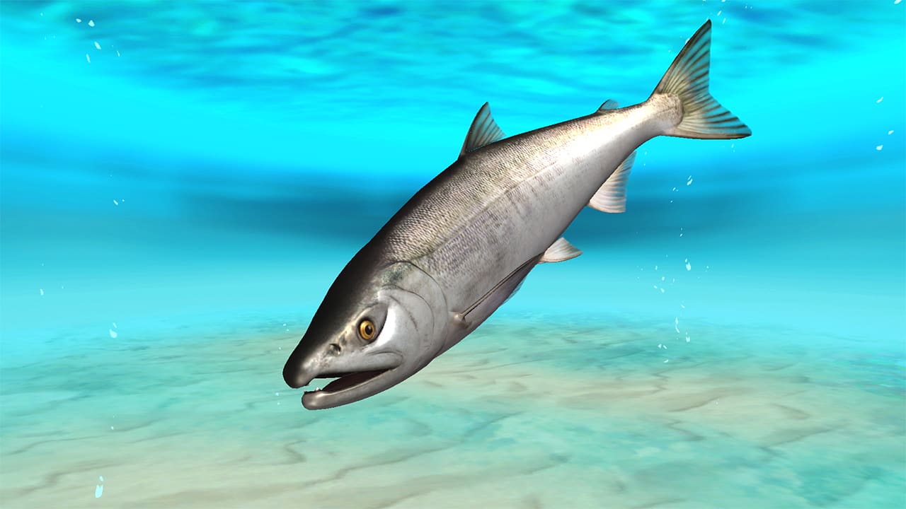 #3. Ace Angler: Fishing Spirits Big Game Summoning Set (Nintendo) 게시자: BANDAI NAMCO Entertainment