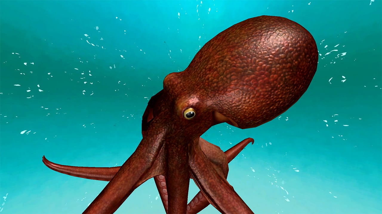 #4. Ace Angler: Fishing Spirits Big Game Summoning Set (Nintendo) 게시자: BANDAI NAMCO Entertainment