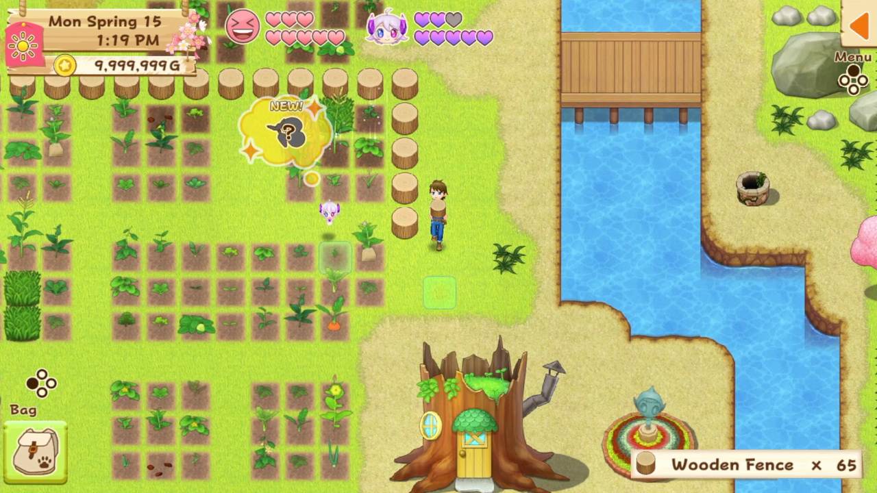 Harvest Moon®: Light of Hope Special Edition screenshot 4