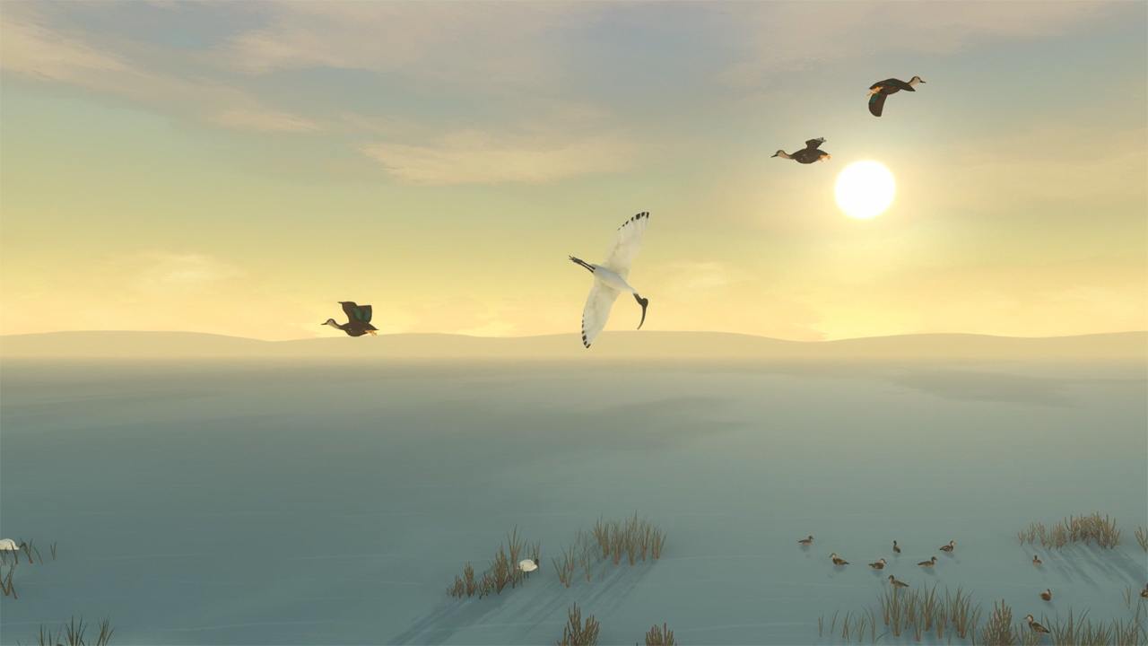 Storm Boy screenshot 3