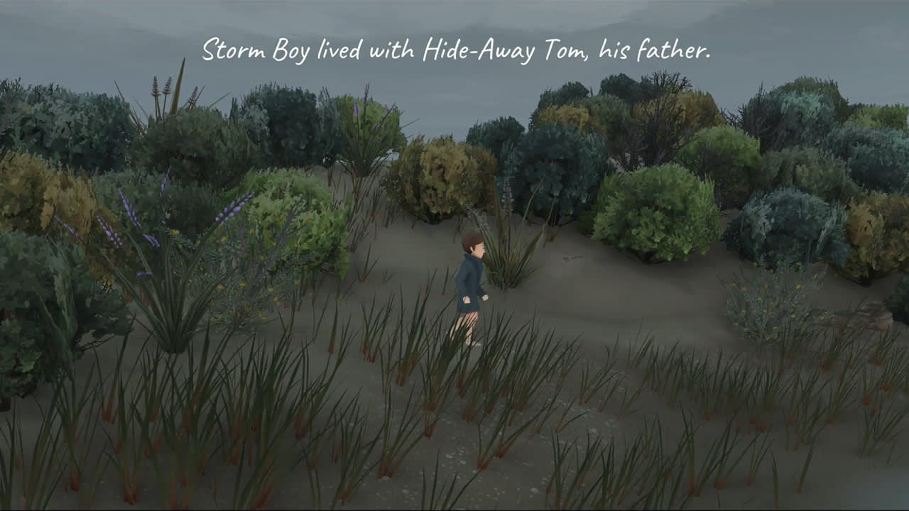 Storm Boy screenshot 2