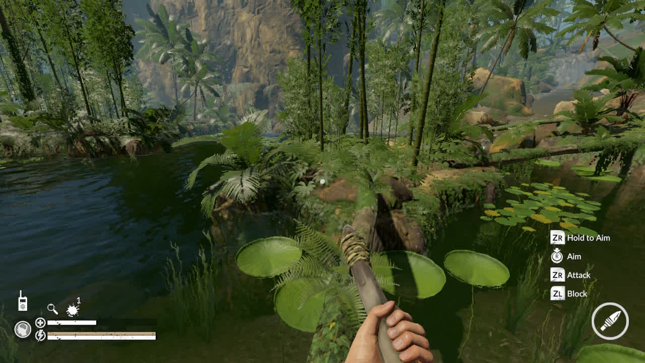 Green Hell screenshot 1