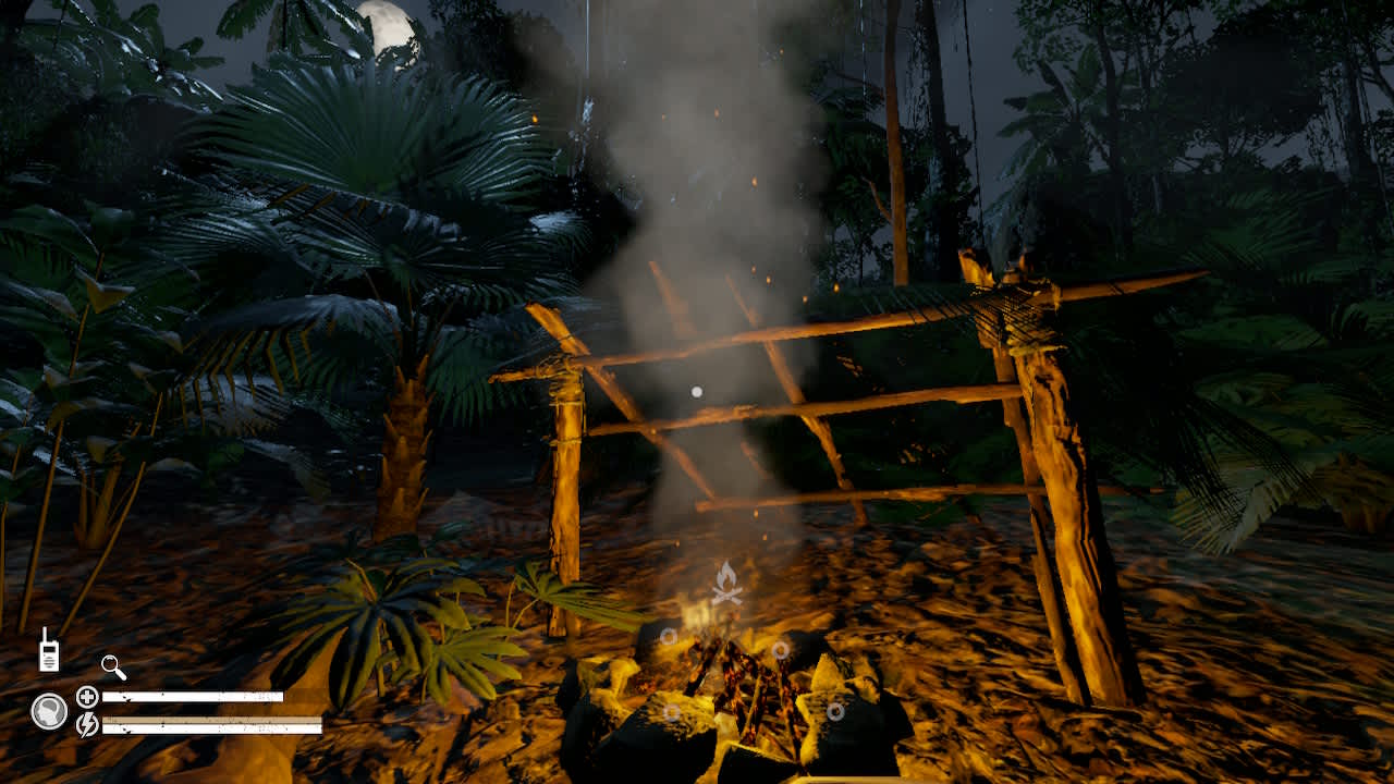 Green Hell screenshot 3