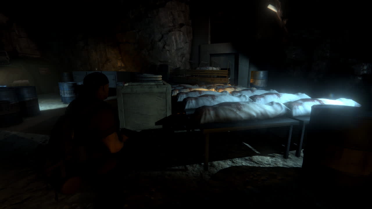 Outbreak: Epidemic screenshot 1