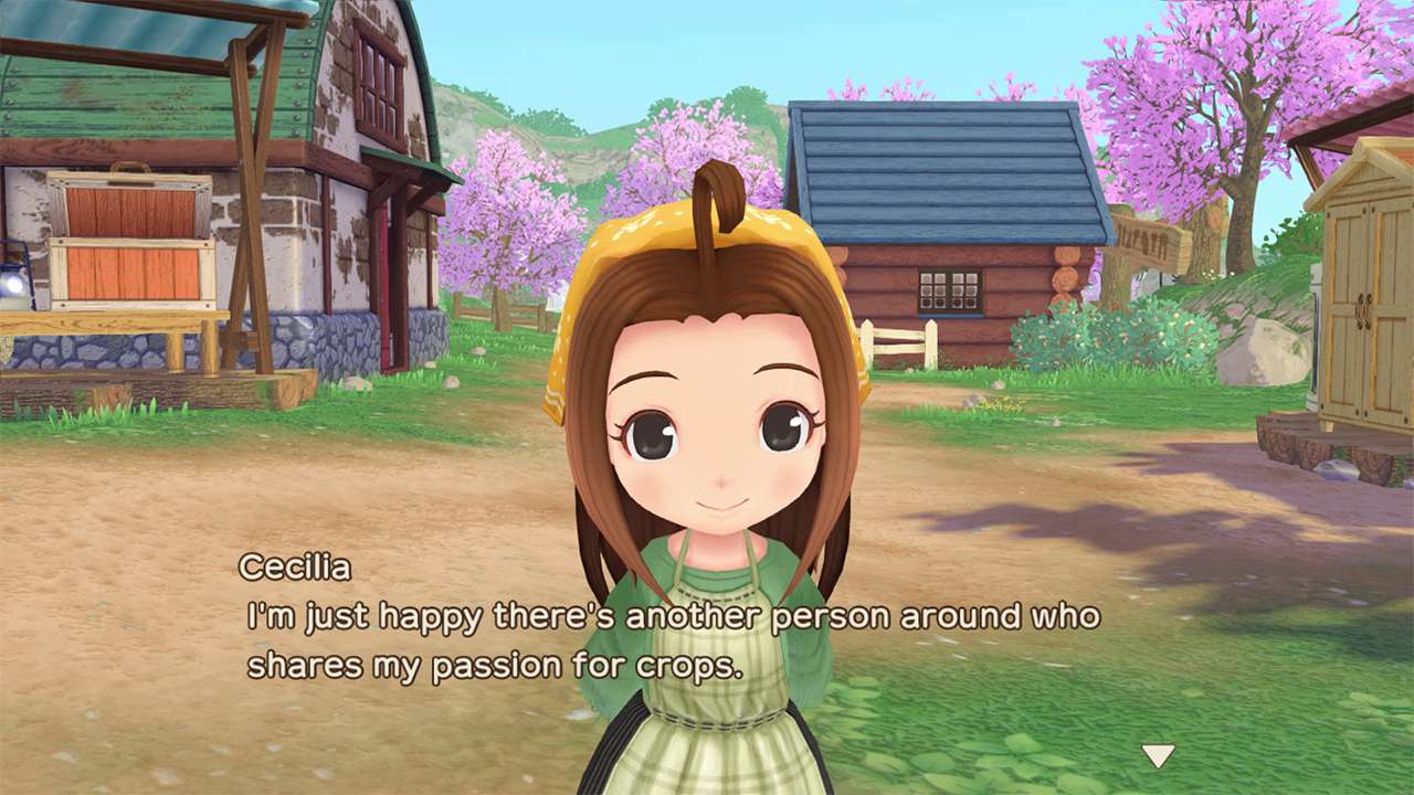 STORY OF SEASONS: A Wonderful Life screenshot 3