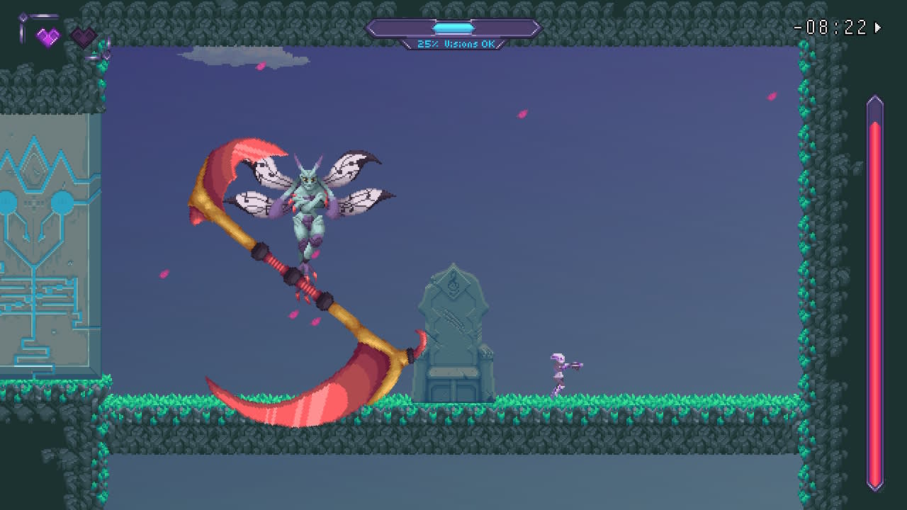 Vision Soft Reset screenshot 4