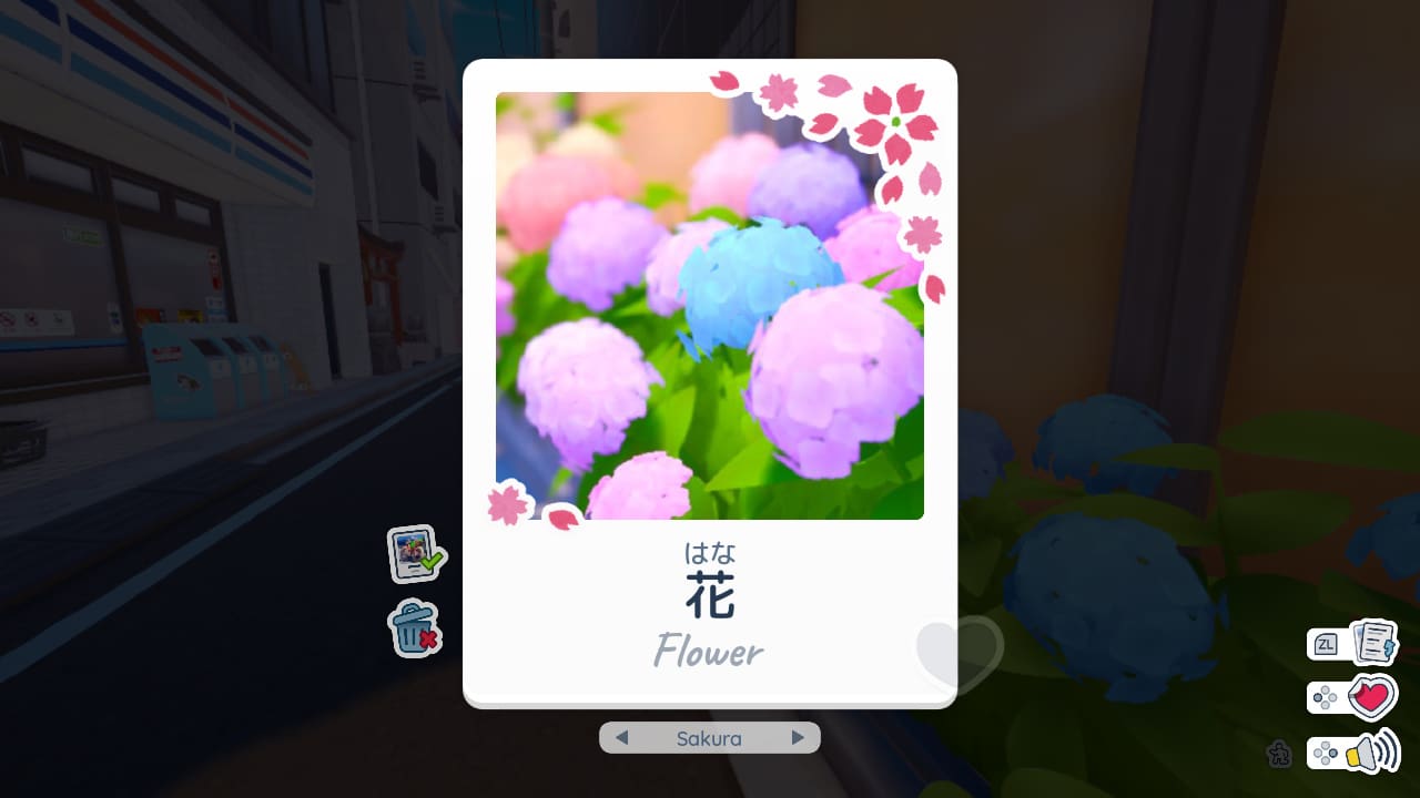 Shashingo: Learn Japanese with Photography screenshot 3