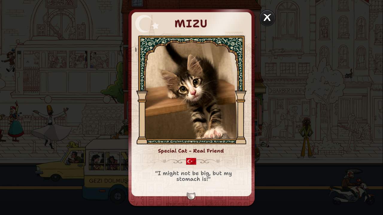 Hidden Cats in Istanbul screenshot 4