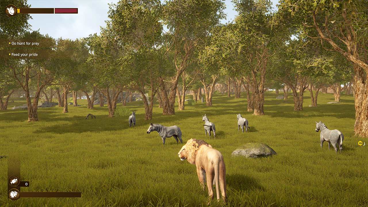 Lion Simulator RPG: Animal Battle Survival screenshot 2