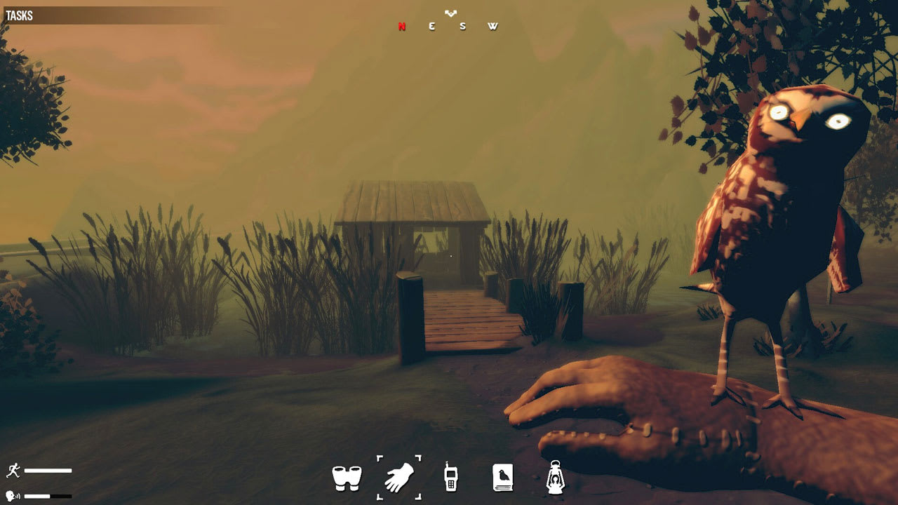 Birds Watching screenshot 1