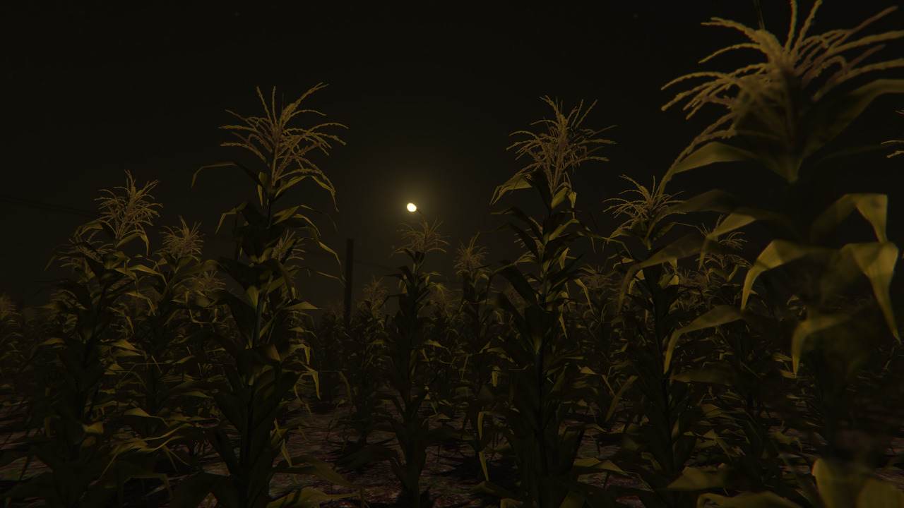 Cornfield screenshot 3