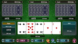 THE Card: Poker, Texas hold 'em, Blackjack and Page One screenshot 1