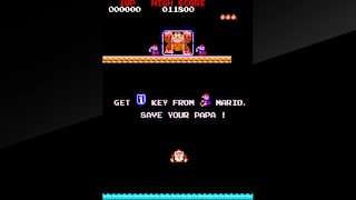 Arcade Archives DONKEY KONG JR. screenshot 2