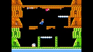 Arcade Archives ICE CLIMBER screenshot 1