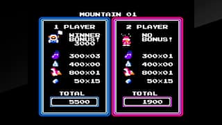 Arcade Archives ICE CLIMBER screenshot 4