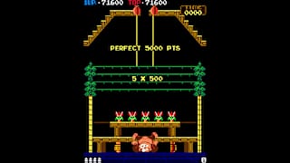 Arcade Archives DONKEY KONG 3 screenshot 6