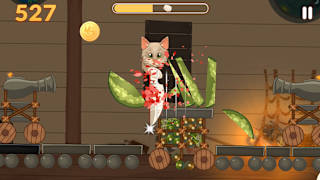 Nice Slice screenshot 4