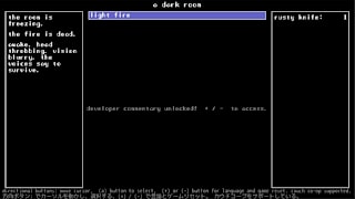 A Dark Room screenshot 2