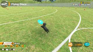 Little Friends: Dogs & Cats screenshot 1
