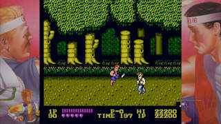 DOUBLE DRAGON screenshot 1
