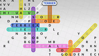 Fifty Words by POWGI screenshot 1