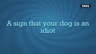 Quiplash 2 InterLASHional: The Say Anything Party Game! screenshot 3