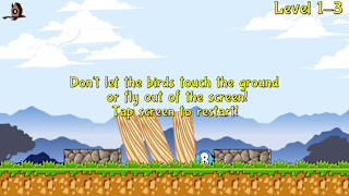 Birds and Blocks screenshot 4