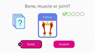 BodyQuest screenshot 3