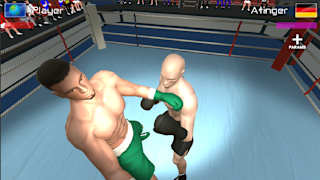 International Boxing screenshot 4
